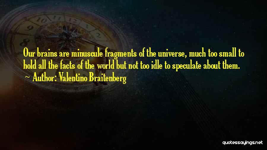 Valentino Braitenberg Quotes 1495115