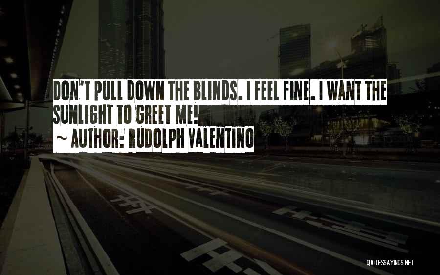 Valentino Quotes By Rudolph Valentino