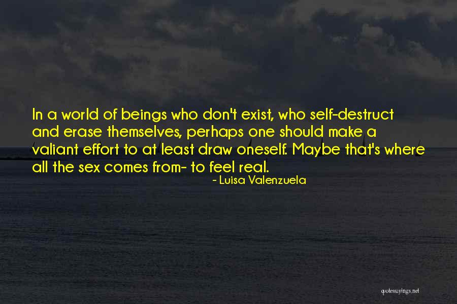 Valenzuela Quotes By Luisa Valenzuela Valenzuela Quotes By Luisa Valenzuela