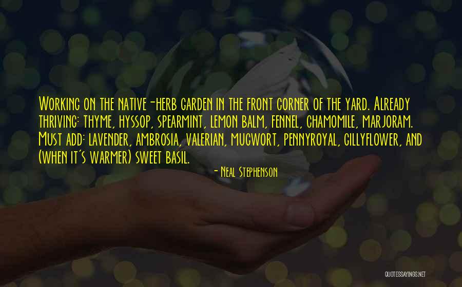 Valerian Quotes By Neal Stephenson Valerian Quotes By Neal Stephenson