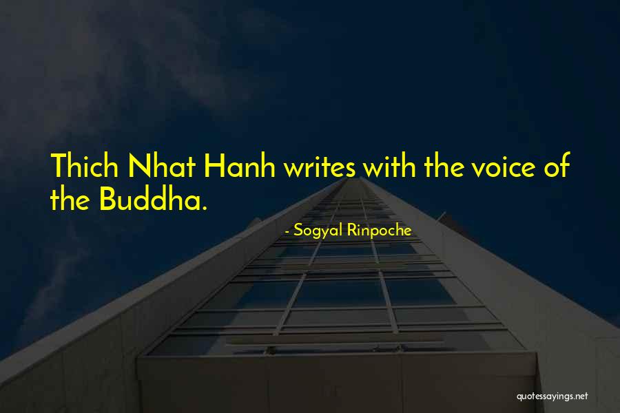 Valeriana Beneficios Quotes By Sogyal Rinpoche Valeriana Beneficios Quotes By Sogyal Rinpoche