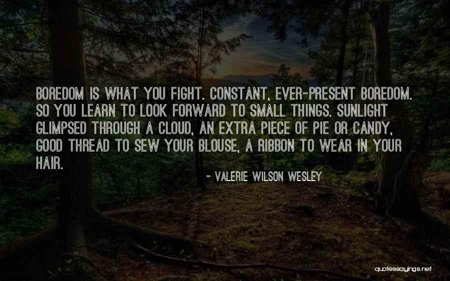 Valerie Wilson Wesley Quotes 144673