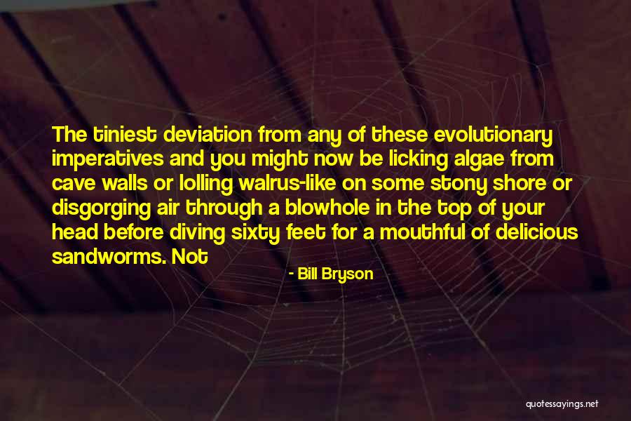 Valerijus Gromenkovas Quotes By Bill Bryson Valerijus Gromenkovas Quotes By Bill Bryson