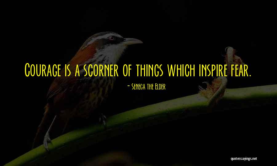 Valerio Quotes By Seneca The Elder Valerio Quotes By Seneca The Elder