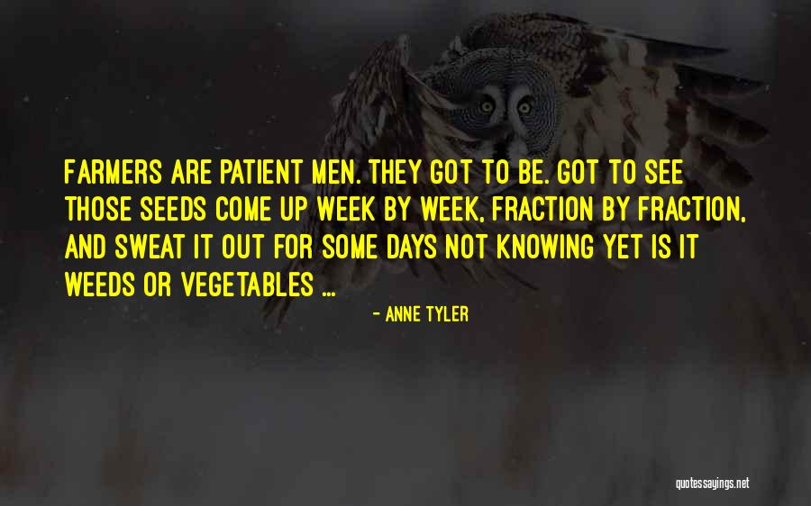 Valerios Quotes By Anne Tyler Valerios Quotes By Anne Tyler