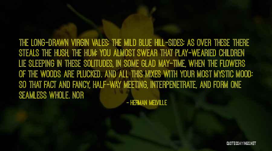 Vales Quotes By Herman Melville Vales Quotes By Herman Melville