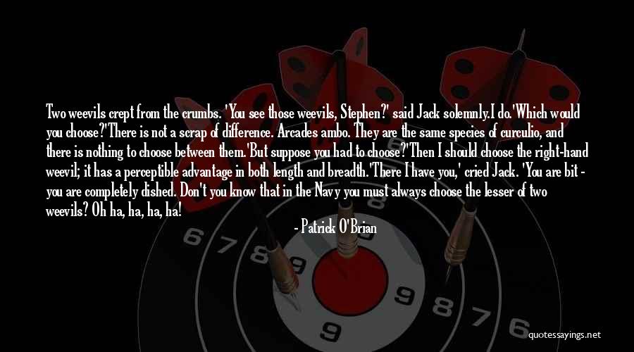 Valeskys Weekly Ads Quotes By Patrick O'Brian Valeskys Weekly Ads Quotes By Patrick O'Brian