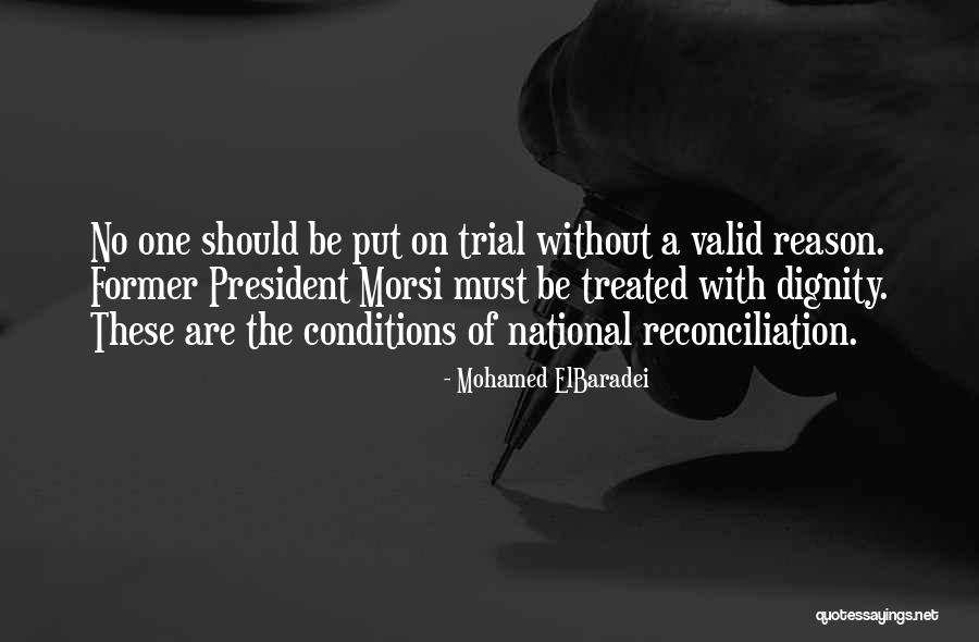 Valid Reason Quotes By Mohamed ElBaradei