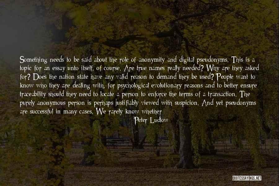 Valid Reason Quotes By Peter Ludlow