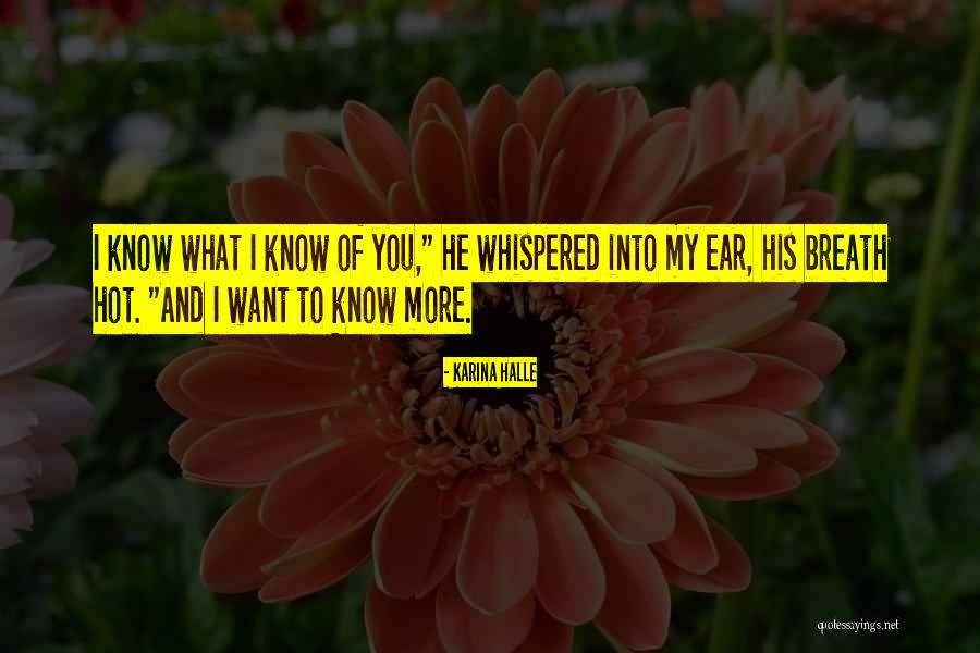 Validasi Adalah Quotes By Karina Halle Validasi Adalah Quotes By Karina Halle