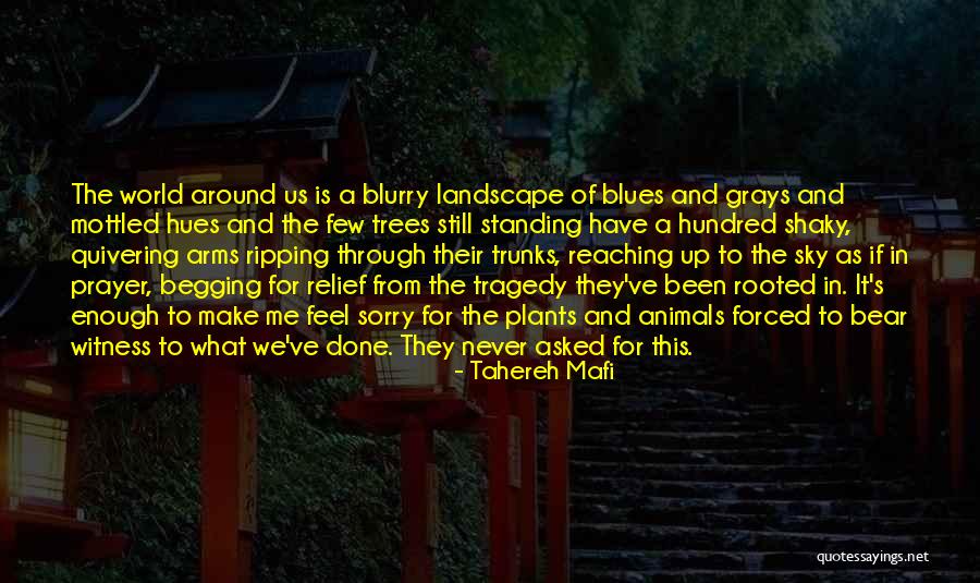 Valientes Y Quotes By Tahereh Mafi Valientes Y Quotes By Tahereh Mafi