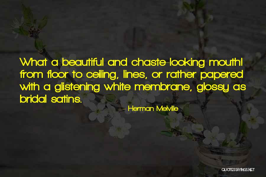 Valionis Rugile Quotes By Herman Melville Valionis Rugile Quotes By Herman Melville