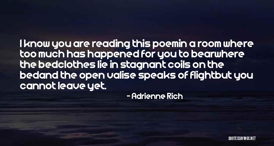 Valise Quotes By Adrienne Rich Valise Quotes By Adrienne Rich