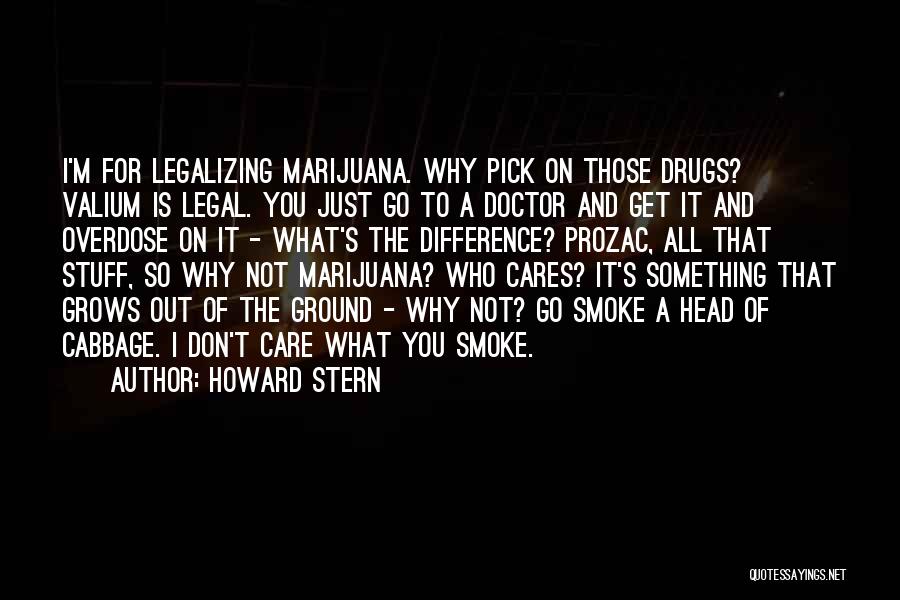 Valium Quotes By Howard Stern