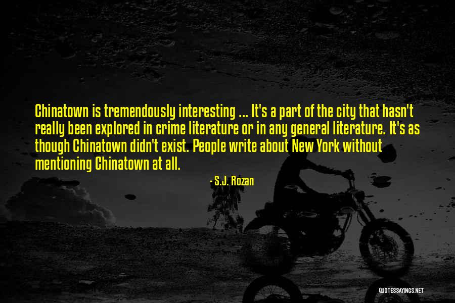 Valizadeh Ethnicity Quotes By S.J. Rozan Valizadeh Ethnicity Quotes By S.J. Rozan