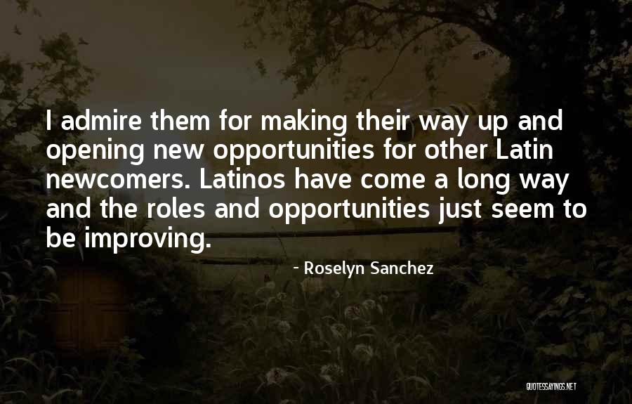 Valknut Racist Quotes By Roselyn Sanchez Valknut Racist Quotes By Roselyn Sanchez