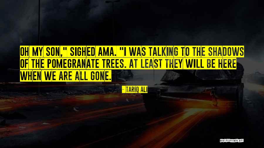 Vallana Quotes By Tariq Ali Vallana Quotes By Tariq Ali