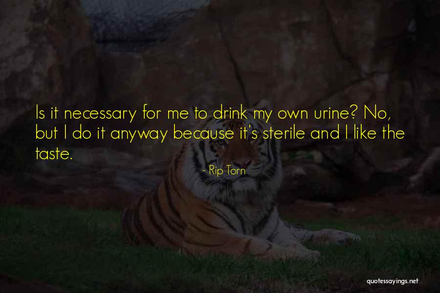 Vallarta Shores Quotes By Rip Torn Vallarta Shores Quotes By Rip Torn