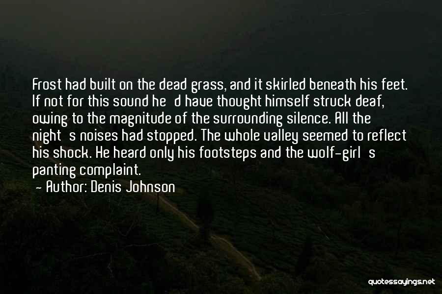 Valley Girl Quotes By Denis Johnson