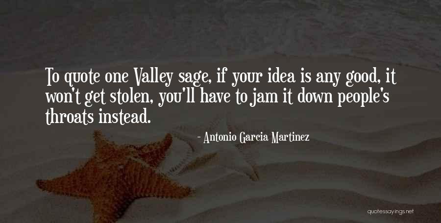 Valley Quotes By Antonio Garcia Martinez