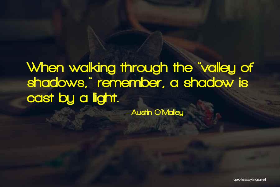 Valley Quotes By Austin O'Malley