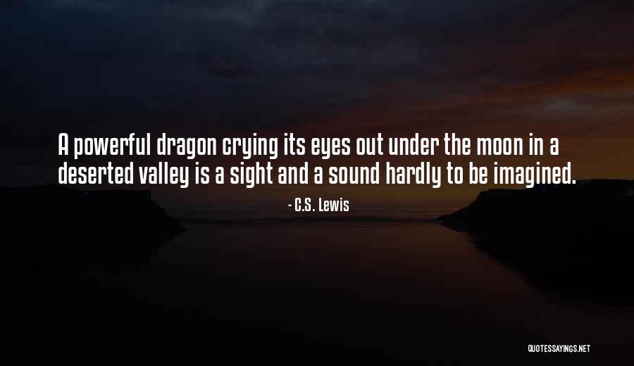 Valley Quotes By C.S. Lewis