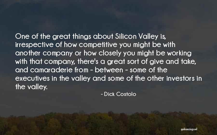 Valley Quotes By Dick Costolo