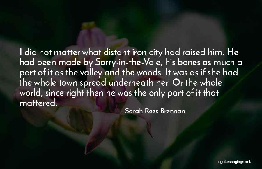 Valley Quotes By Sarah Rees Brennan Valley Quotes By Sarah Rees Brennan