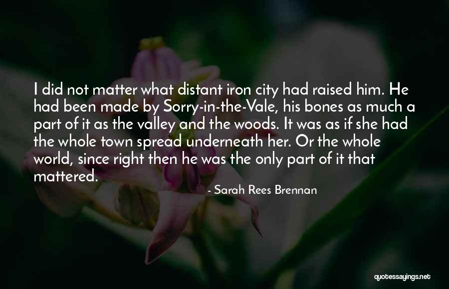 Valley Quotes By Sarah Rees Brennan