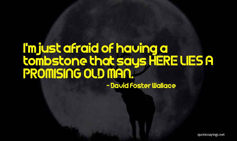 Valley Vet Quotes By David Foster Wallace Valley Vet Quotes By David Foster Wallace