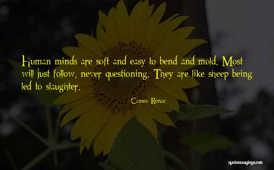 Vallon Classics Quotes By Cameo Renae Vallon Classics Quotes By Cameo Renae
