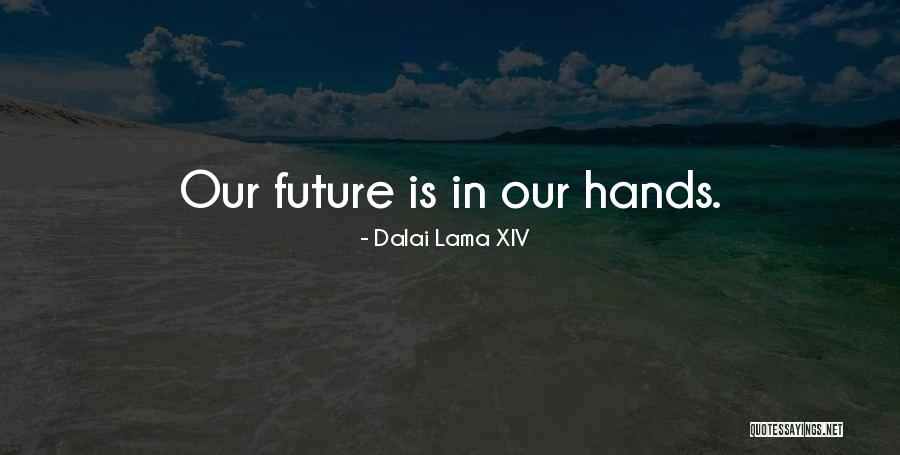 Valmer Net Quotes By Dalai Lama XIV