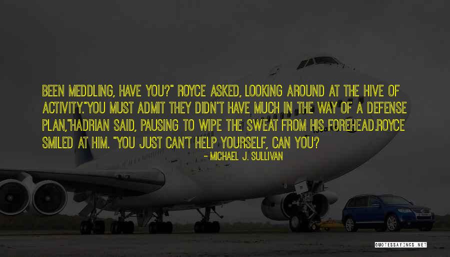 Valnei Jogador Quotes By Michael J. Sullivan Valnei Jogador Quotes By Michael J. Sullivan