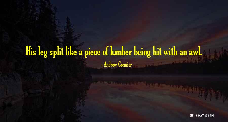 Valoramos Sinonimo Quotes By Andrew Cormier