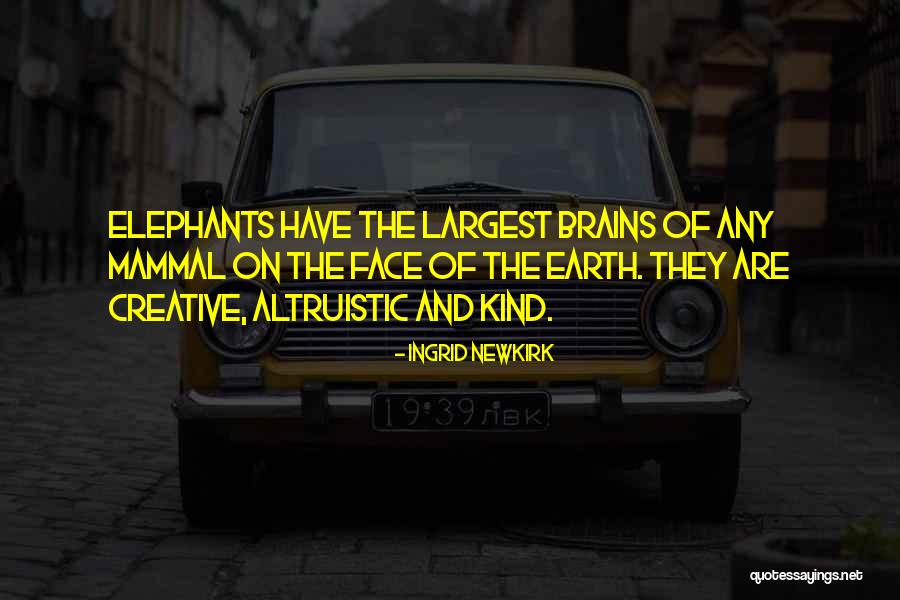 Valquiria Nordica Quotes By Ingrid Newkirk Valquiria Nordica Quotes By Ingrid Newkirk