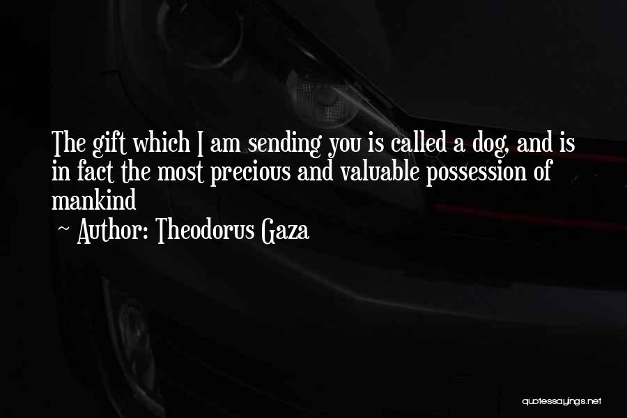 Valuable Possession Quotes By Theodorus Gaza