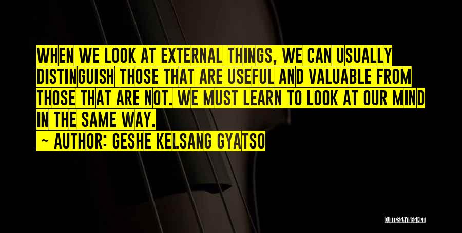 Valuable Things Quotes By Geshe Kelsang Gyatso