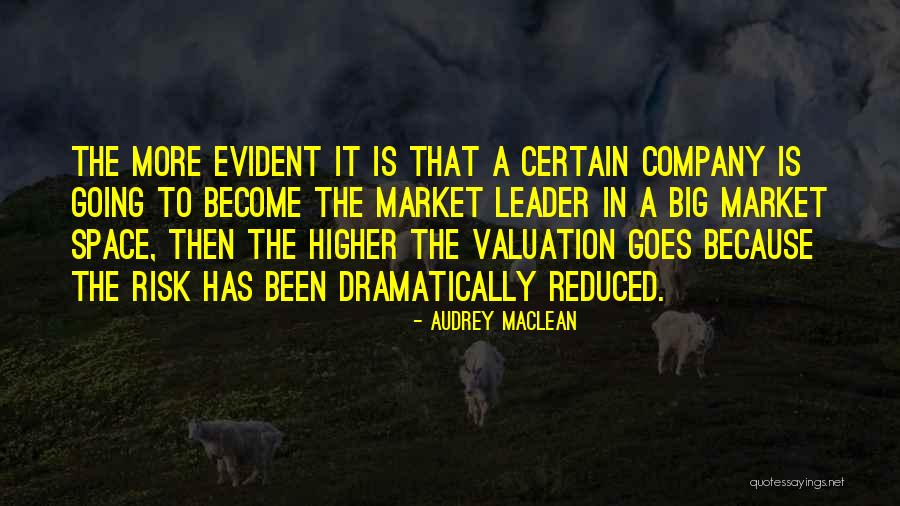 Valuation Of A Company Quotes By Audrey MacLean