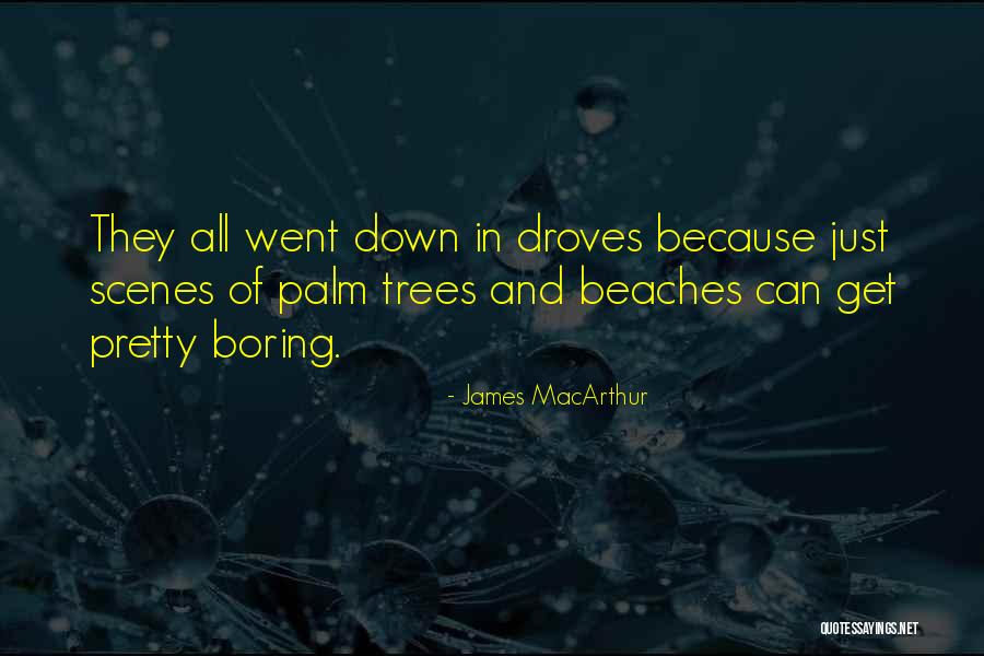 Value Alignment Problem Quotes By James MacArthur Value Alignment Problem Quotes By James MacArthur