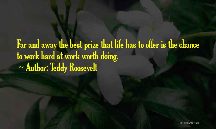 Value Of Hard Work Quotes By Teddy Roosevelt