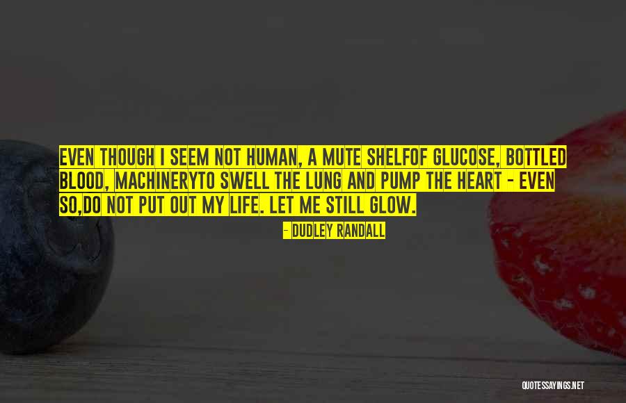 Value Of Human Life Quotes By Dudley Randall Value Of Human Life Quotes By Dudley Randall
