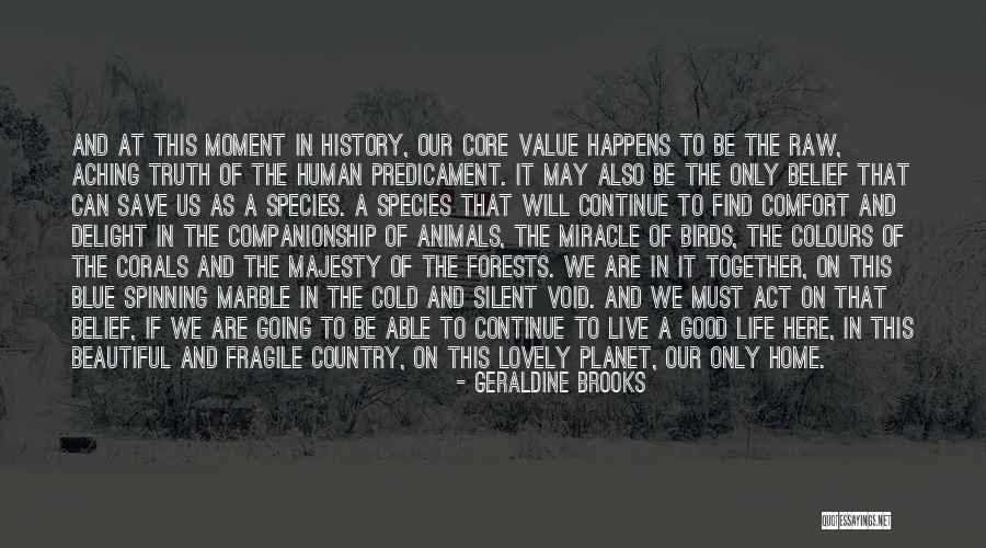 Value Of Human Life Quotes By Geraldine Brooks Value Of Human Life Quotes By Geraldine Brooks