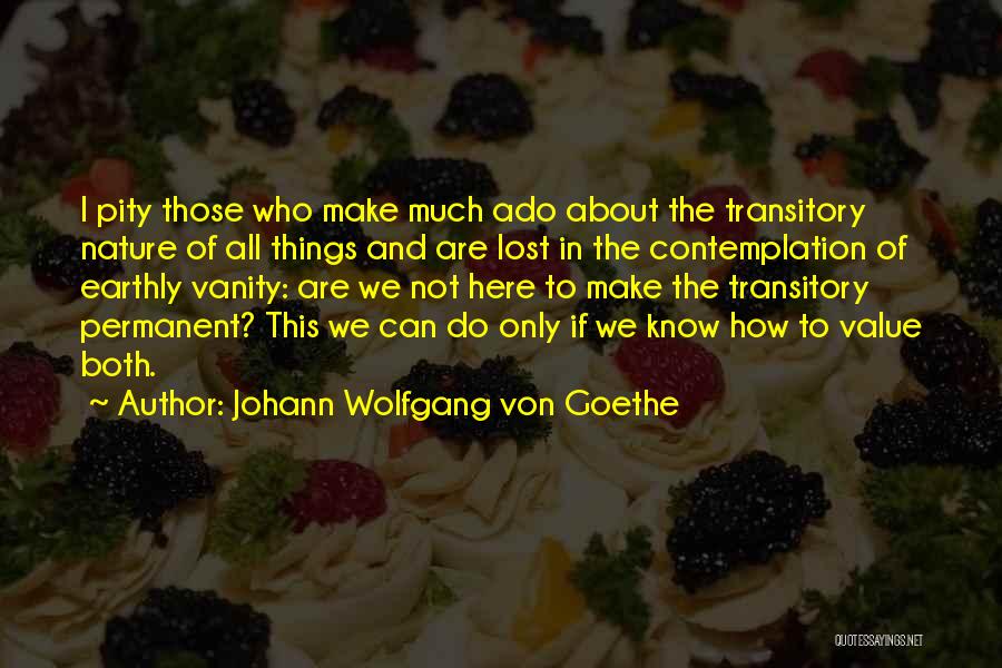 Value Of Something Lost Quotes By Johann Wolfgang Von Goethe