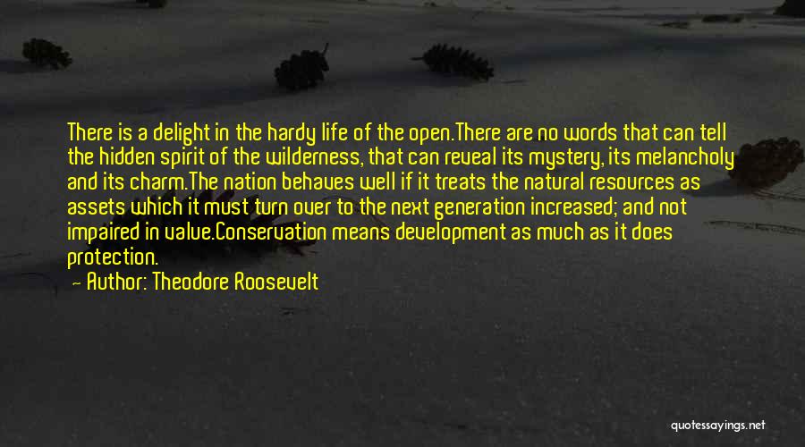 Value Of Words Quotes By Theodore Roosevelt