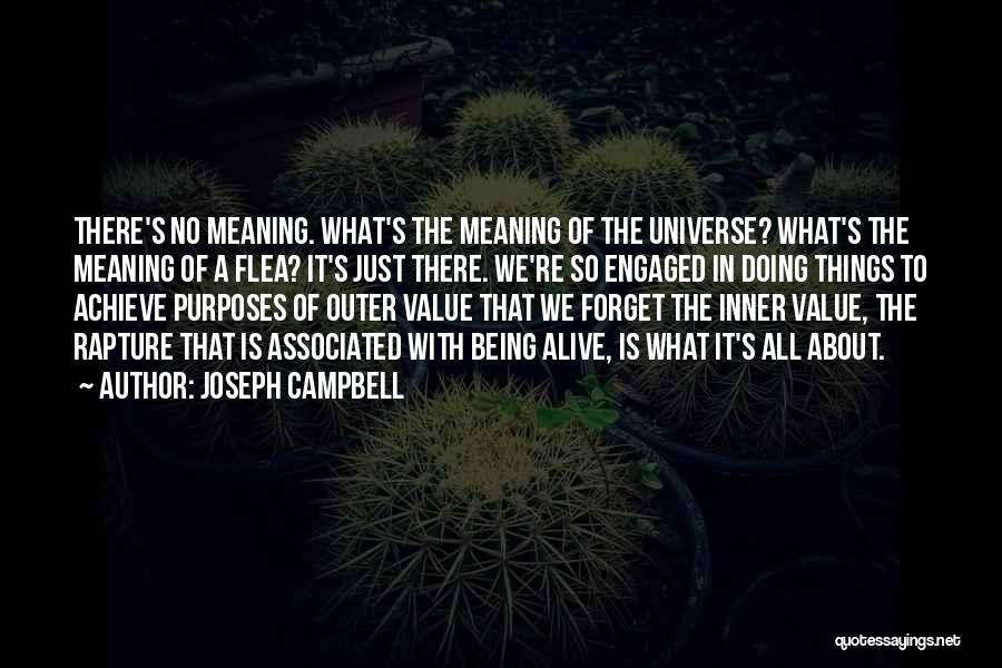 Value The Things Quotes By Joseph Campbell