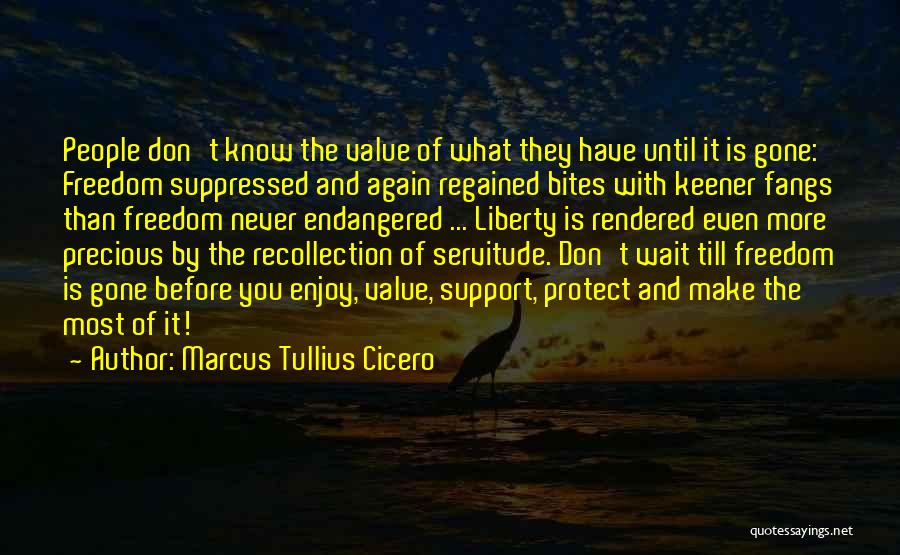 Value What You Have Before It's Gone Quotes By Marcus Tullius Cicero