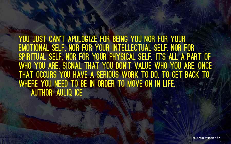 Value Who You Are Quotes By Auliq Ice