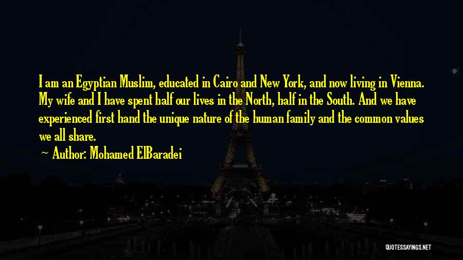 Values And Family Quotes By Mohamed ElBaradei