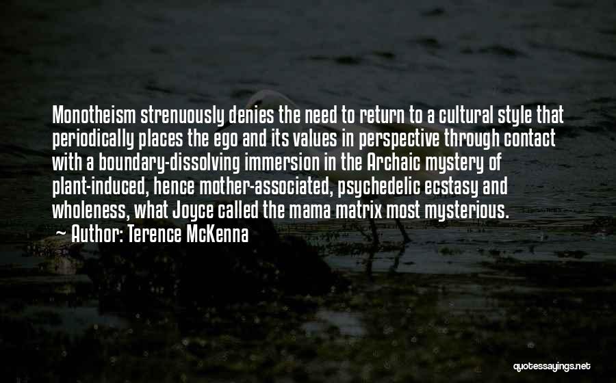Values And Quotes By Terence McKenna