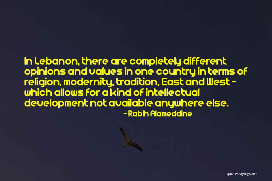 Values Development Quotes By Rabih Alameddine Values Development Quotes By Rabih Alameddine